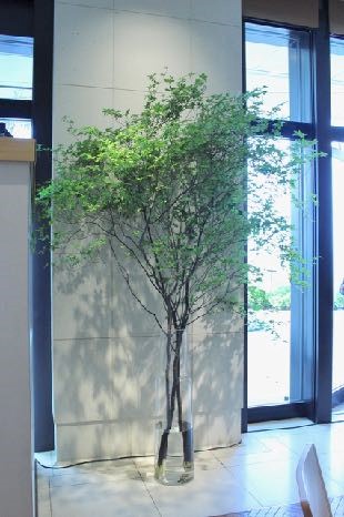 多彩なカラーワーク