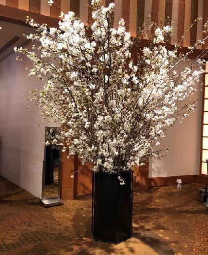 バーガンディーカラー