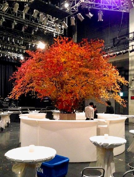 バーガンディーカラー