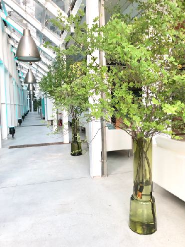 バーガンディーカラー