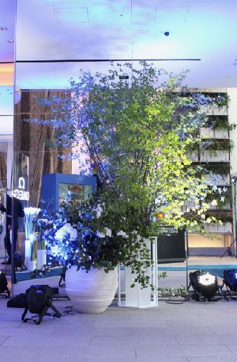 バーガンディーカラー