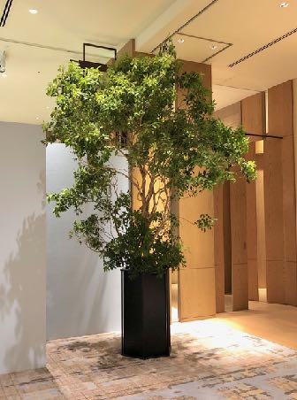 バーガンディーカラー