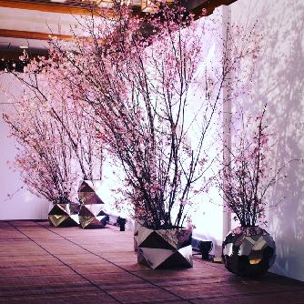 バーガンディーカラー