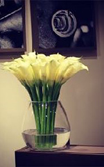 生け込みの見本