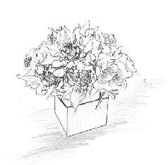 多彩なカラーワーク