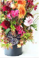 自社配送便 港区・渋谷区・千代田区・中央区・目黒区