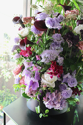 京紫 ~kyoumurasaki~