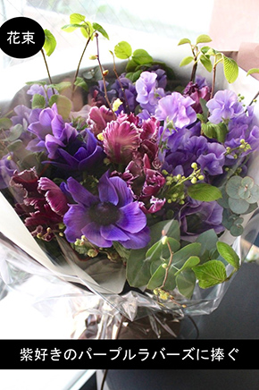 紅掛花色 ~benikakehanairo~