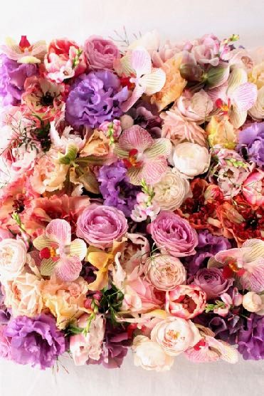 コチョウラン、リシアンサス、ローズ、ラナンキュラス、チューリップ などフラワーウォールのサンプルパレット