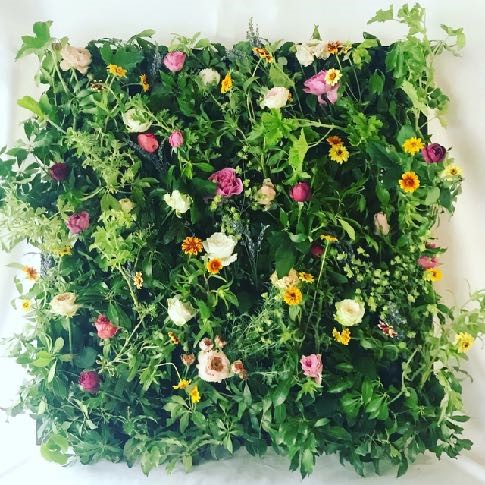 ローズ、ゼラニウム、オレガノ、ジニア などフラワーウォールのサンプルパレット