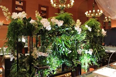 ビガクシダ、クロコダイルファン、エキナセアにアジアンタム,ミックスマッチなアレンジ