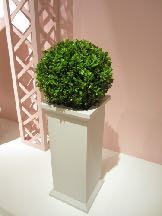 ボックスウッド2