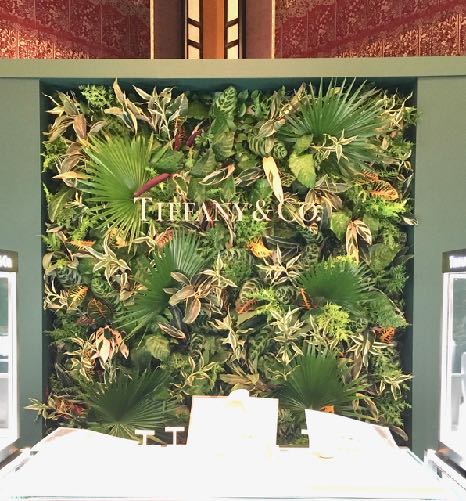 フレッシュグリーンのウォールビロードヤシ・アンブレラファン・ドラセナ など