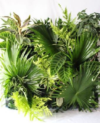 フレッシュグリーンのウォールパネルサイズ H900 W900