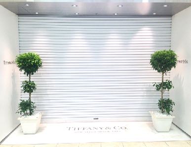 同サイズの植栽1セット