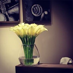 卓上タイプ @12.000 ~ @18.000の見本