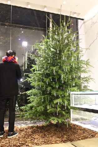 多彩なカラーワーク