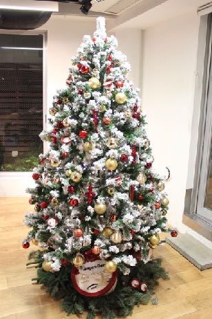 バーガンディーカラー