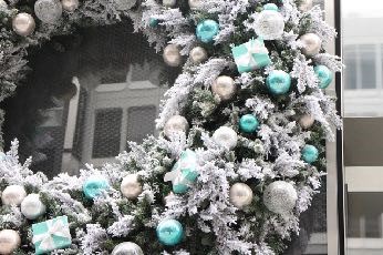 バーガンディーカラー