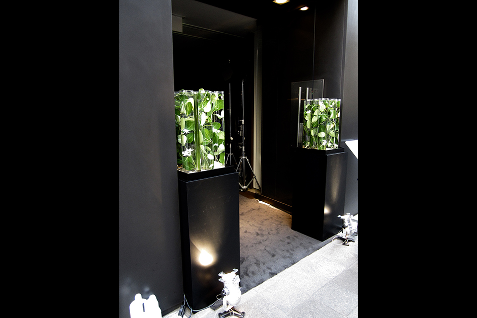 ライフデコイベントワークス06－表参道の花屋 LIFEDECO flower works