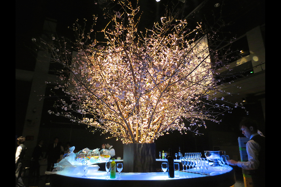 ライフデコイベントワークス11－表参道の花屋 LIFEDECO flower works