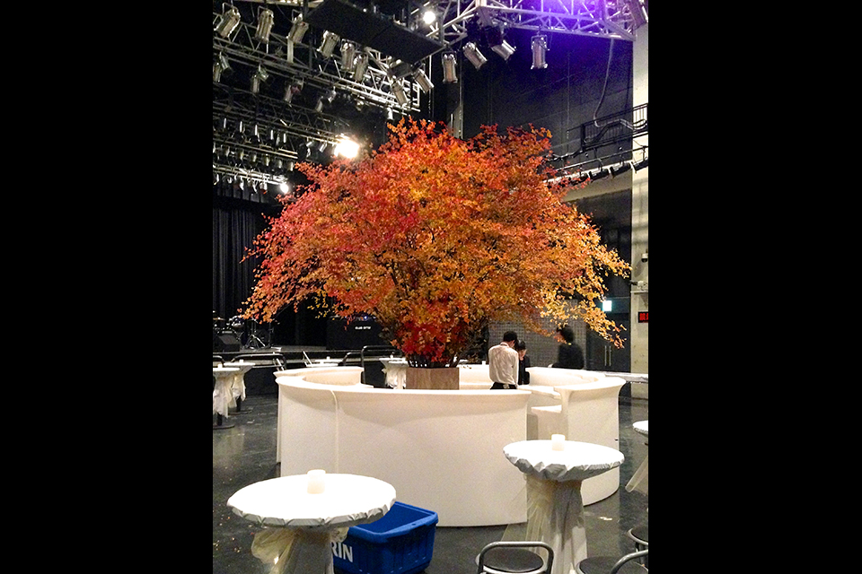 ライフデコイベントワークス27－表参道の花屋 LIFEDECO flower works