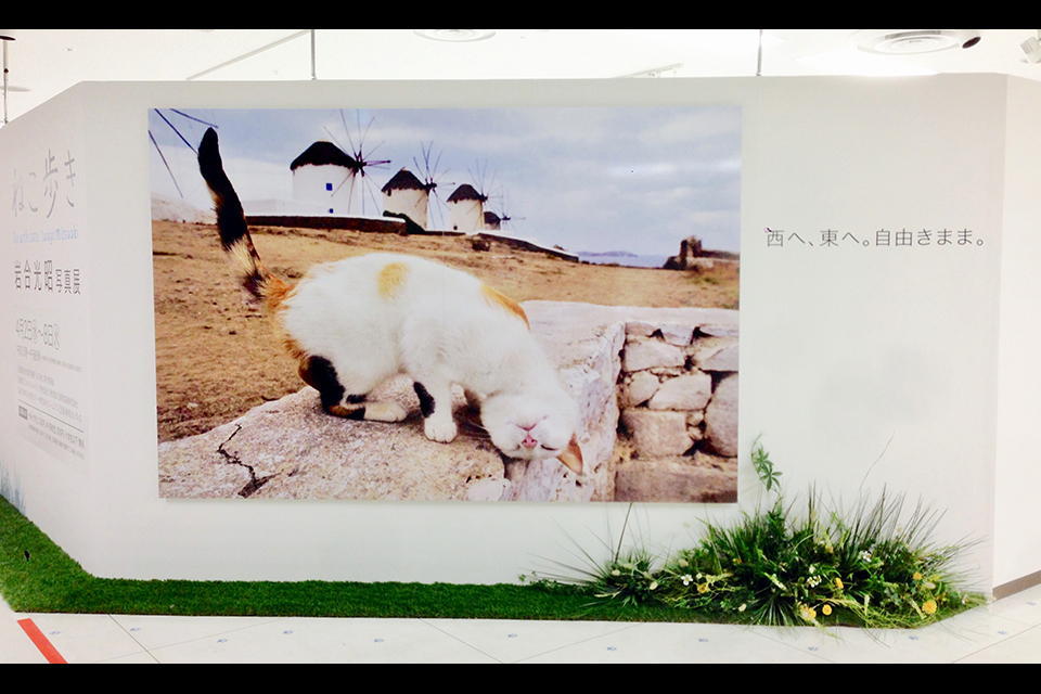 ライフデコイベントワークス32－表参道の花屋 LIFEDECO flower works