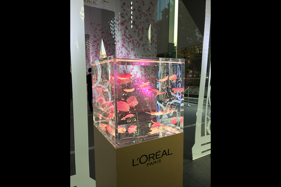 ライフデコイベントワークス65－表参道の花屋 LIFEDECO flower works