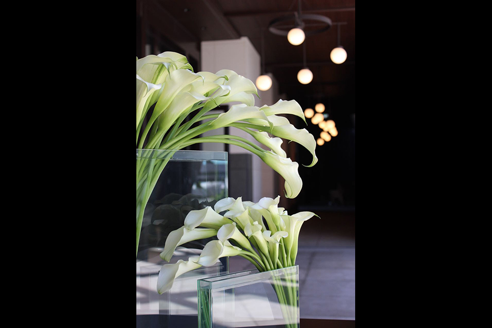 ライフデコイベントワークス86－表参道の花屋 LIFEDECO flower works