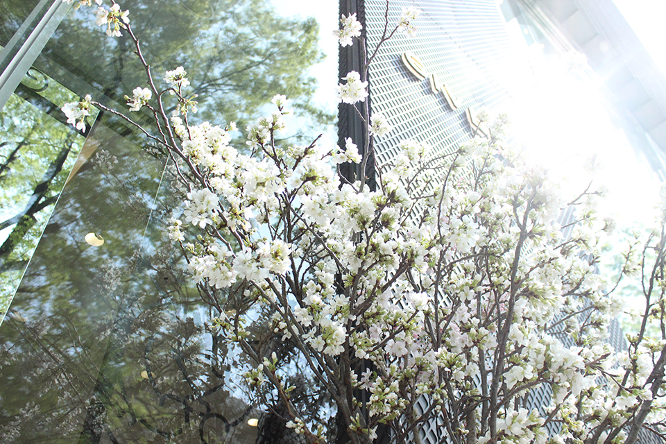 ライフデコイベントワークス108－表参道の花屋 LIFEDECO flower works
