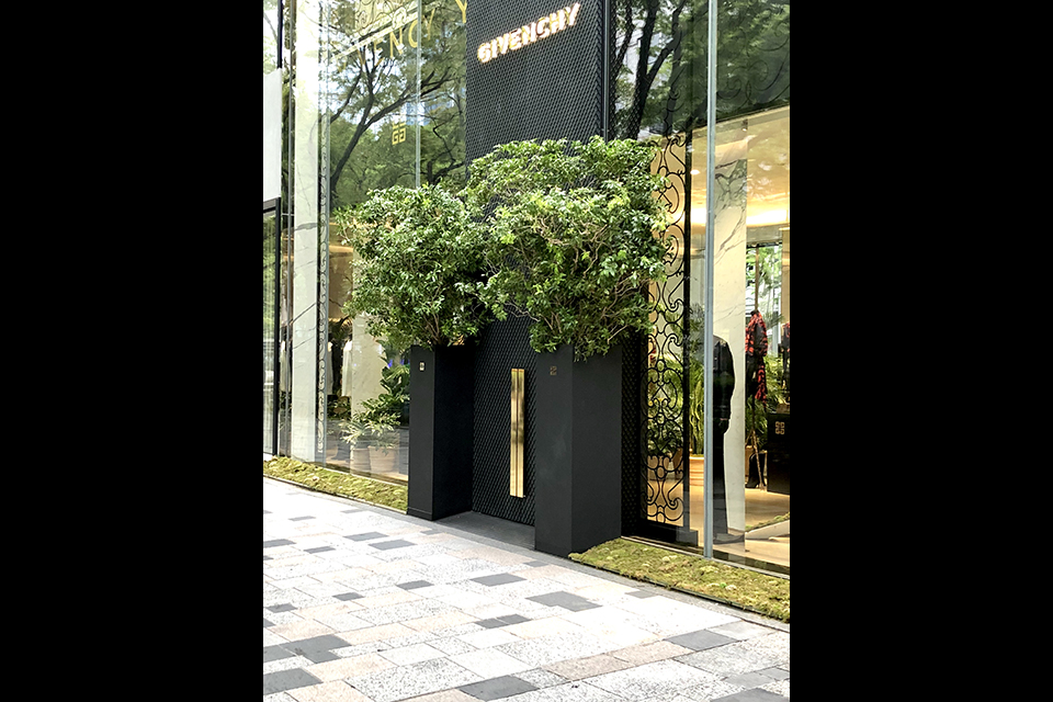 ライフデコイベントワークス114－表参道の花屋 LIFEDECO flower works