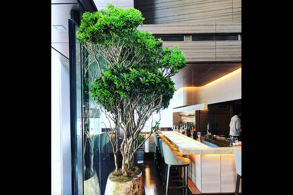 ライフデコイベントワークス121－表参道の花屋 LIFEDECO flower works