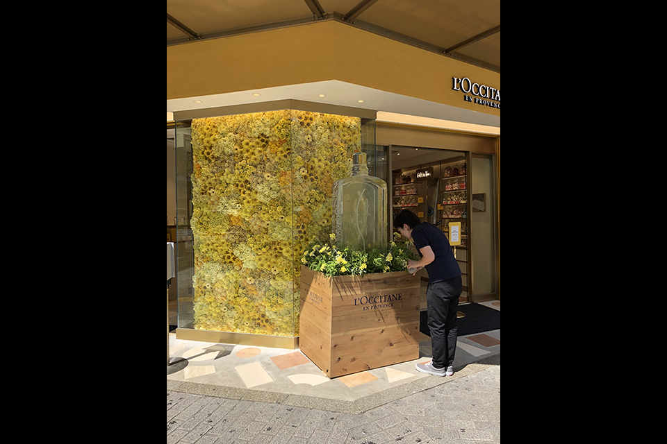 ライフデコイベントワークス122－表参道の花屋 LIFEDECO flower works