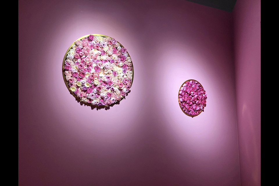 ライフデコイベントワークス135－表参道の花屋 LIFEDECO flower works