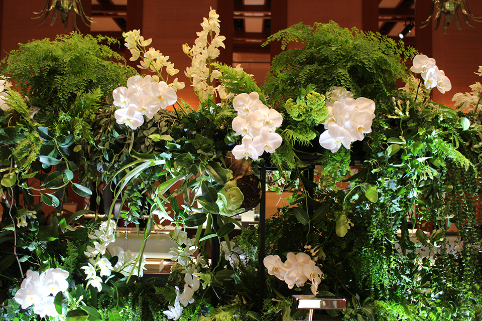 ライフデコイベントワークス150－表参道の花屋 LIFEDECO flower works