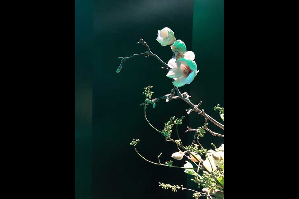 ライフデコイベントワークス154－表参道の花屋 LIFEDECO flower works