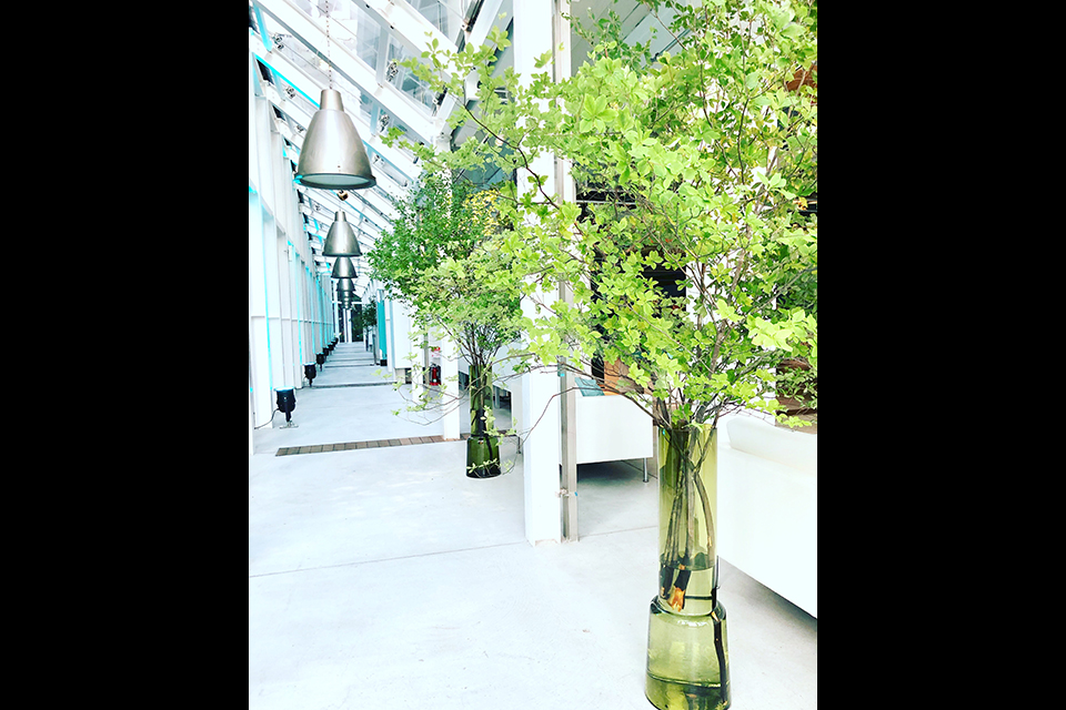 ライフデコイベントワークス164－表参道の花屋 LIFEDECO flower works