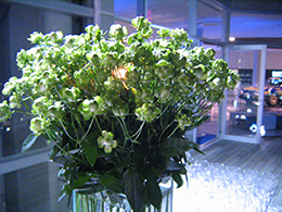 サムネイル　ライフデコイベントワークス02－表参道の花屋 LIFEDECO flower works