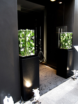 サムネイル　ライフデコイベントワークス06－表参道の花屋 LIFEDECO flower works