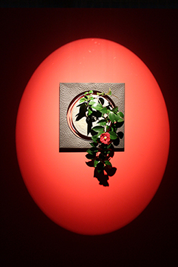 サムネイル　ライフデコイベントワークス17－表参道の花屋 LIFEDECO flower works