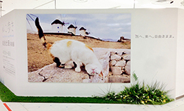 サムネイル　ライフデコイベントワークス32－表参道の花屋 LIFEDECO flower works