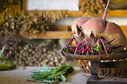 サムネイル　ライフデコイベントワークス45－表参道の花屋 LIFEDECO flower works