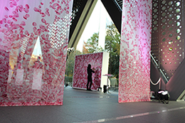 サムネイル　ライフデコイベントワークス67－表参道の花屋 LIFEDECO flower works