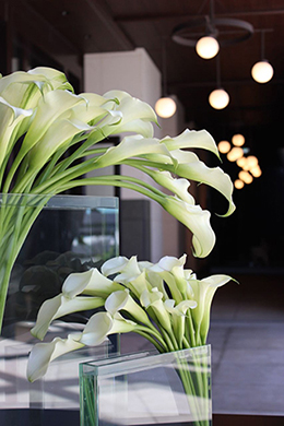 サムネイル　ライフデコイベントワークス86－表参道の花屋 LIFEDECO flower works