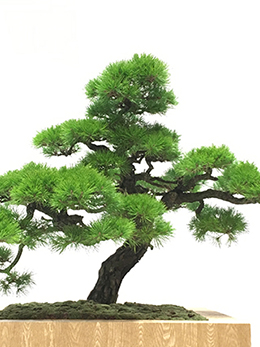 サムネイル　ライフデコイベントワークス93－表参道の花屋 LIFEDECO flower works