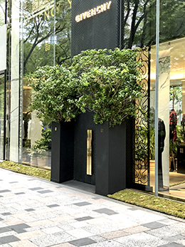 サムネイル　ライフデコイベントワークス114－表参道の花屋 LIFEDECO flower works