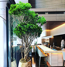 サムネイル　ライフデコイベントワークス120－表参道の花屋 LIFEDECO flower works