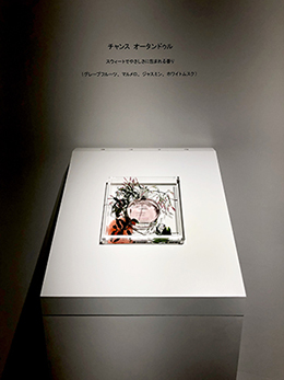 サムネイル　ライフデコイベントワークス134－表参道の花屋 LIFEDECO flower works