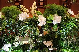 サムネイル　ライフデコイベントワークス150－表参道の花屋 LIFEDECO flower works