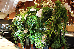 サムネイル　ライフデコイベントワークス151－表参道の花屋 LIFEDECO flower works